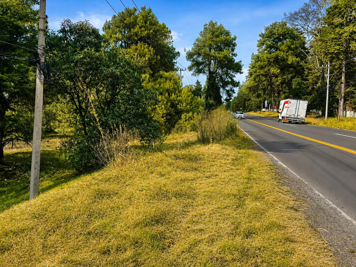 Vista del terreno sobre la carretera México-Cuautla, rodeado de pinos y vegetación